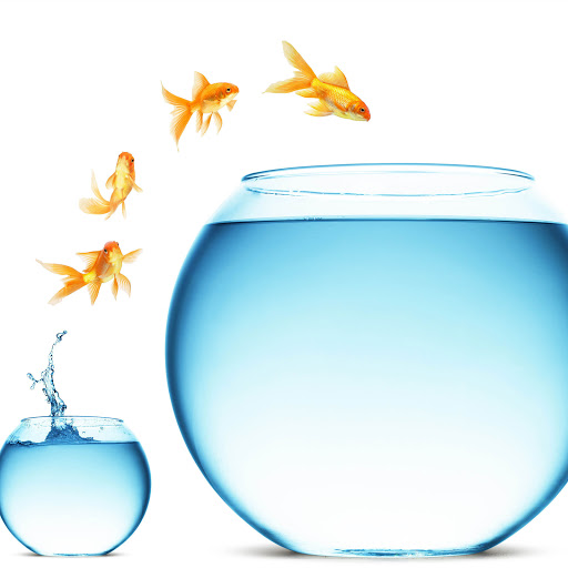 Hd-180729-ascw180729