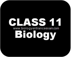 Class 11 biology