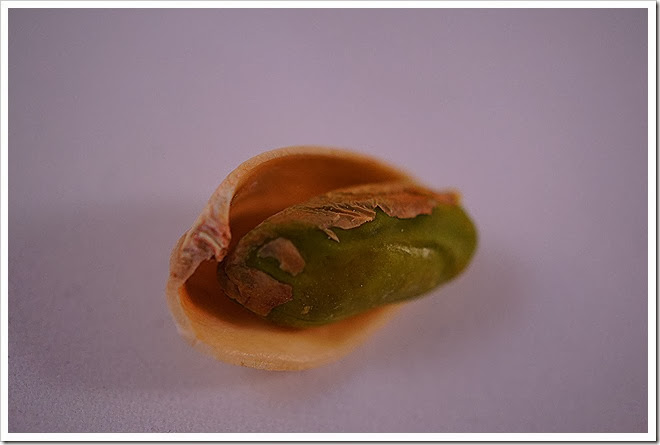 pistachios-free-pictures-1 (1368)