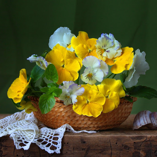 Hd-139869-ascw139869