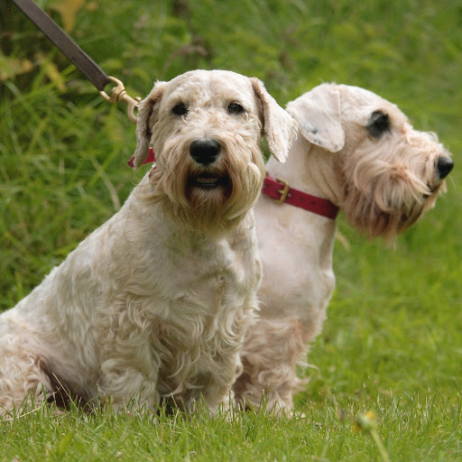 Hd-169986-ascw169986