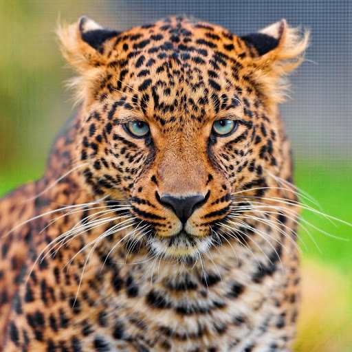 Hd-180462-ascw180462