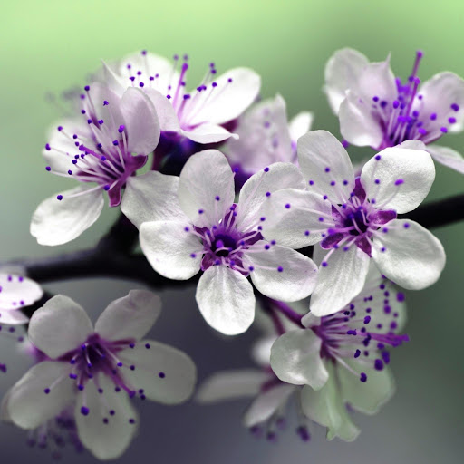 Hd-180529-ascw180529