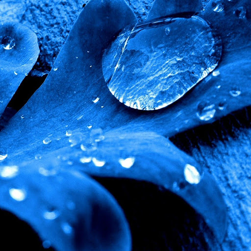 Hd-167566-ascw167566