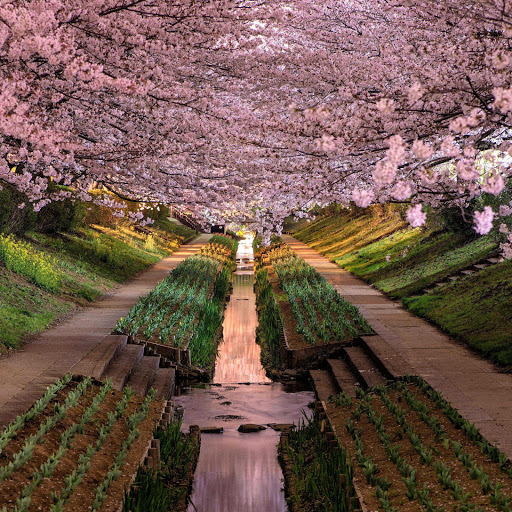 Hd-132143-ascw132143