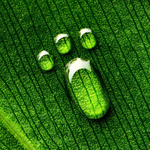 Hd-131066-ascw131066