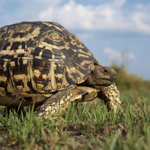 Hd-139702-ascw139702