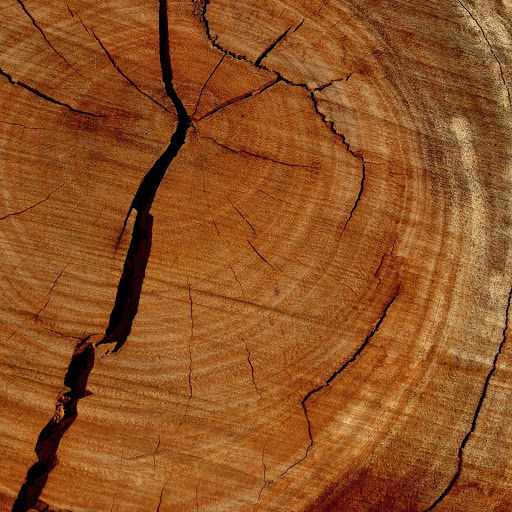 Hd-140817-ascw140817