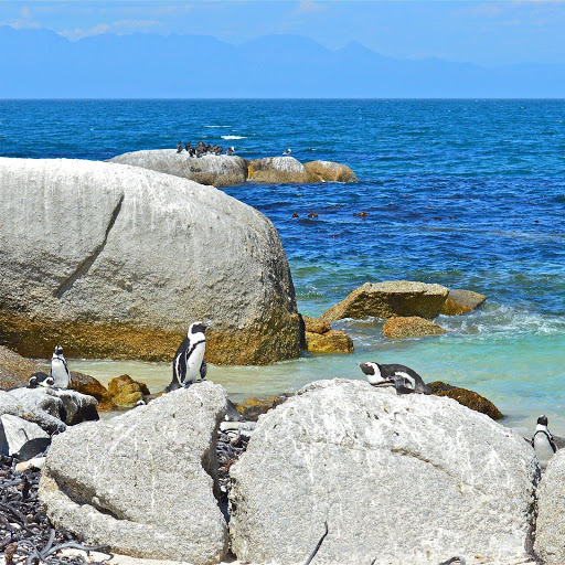 Hd-137865-ascw137865