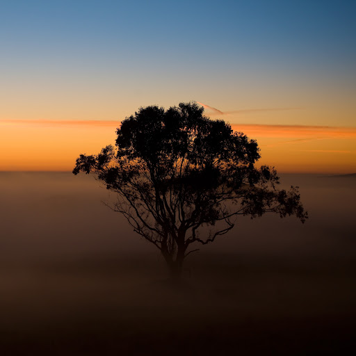 Hd-131125-ascw131125