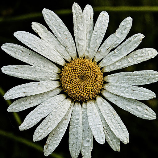 Hd-179867-ascw179867