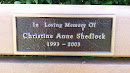 Christine Anne Shedlock Memorial Bench