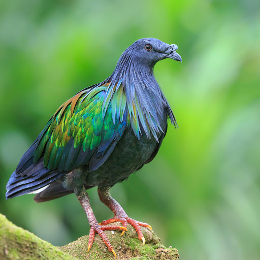 Hd-178237-ascw178237