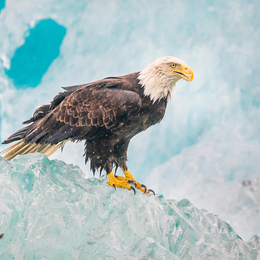 Hd-183320-ascw183320