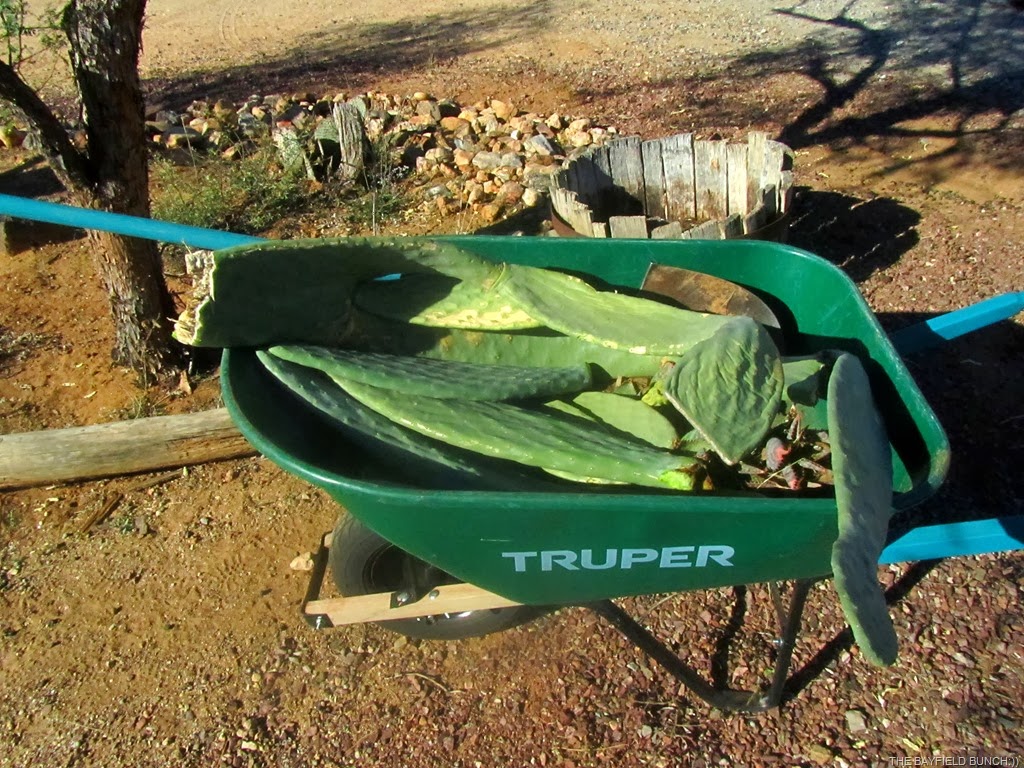 [IMG_0834%255B3%255D.jpg]