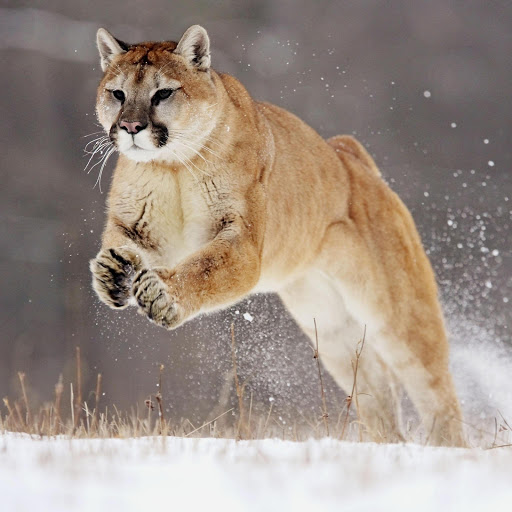 Hd-177644-ascw177644