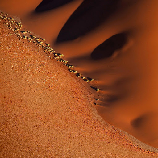 Hd-162116-ascw162116