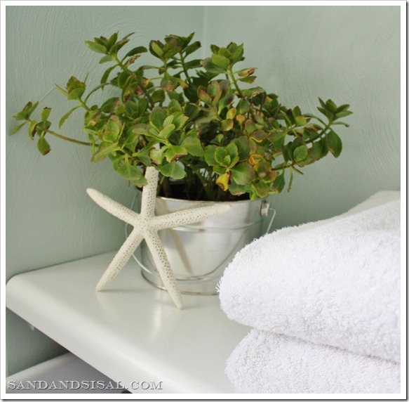 Plant succulents in a galvanized pail 