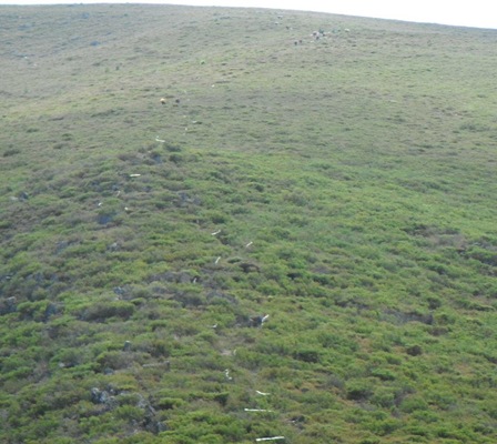 246555_420989947951974_559733785_n