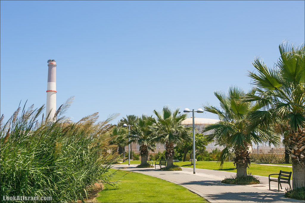 Все интересное с улиц Тель Авива. LookAtIsrael.com - Фото путешествия по Израилю