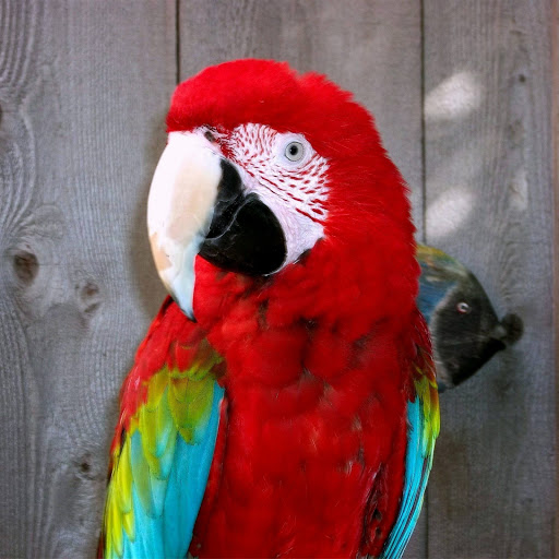 Hd-151450-ascw151450