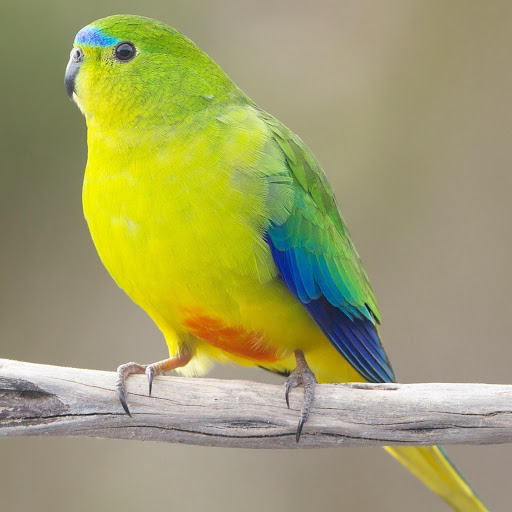 Hd-178529-ascw178529