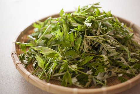 [clip_image001%255B4%255D.jpg]