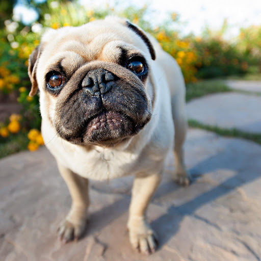 Hd-183238-ascw183238