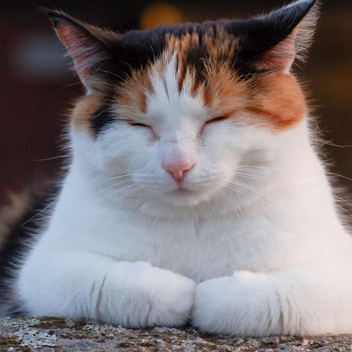 Hd-132641-ascw132641