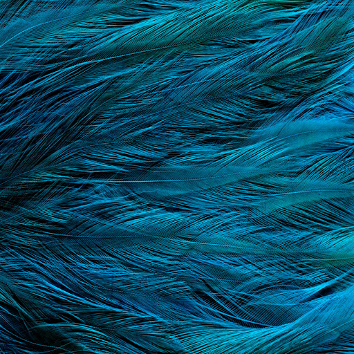 Hd-131025-ascw131025