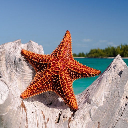 Hd-185942-ascw185942