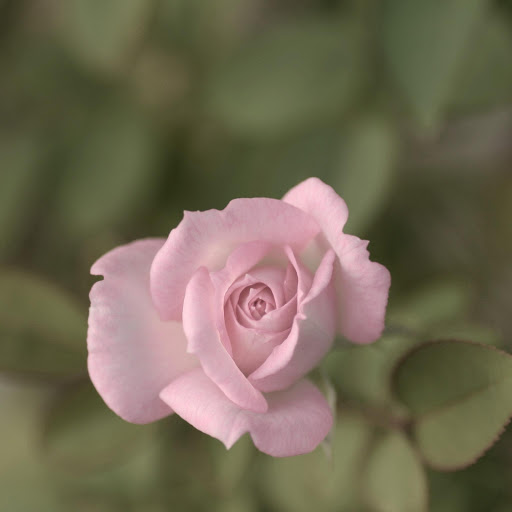 Hd-177030-ascw177030