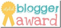 stylish blogger-300x135