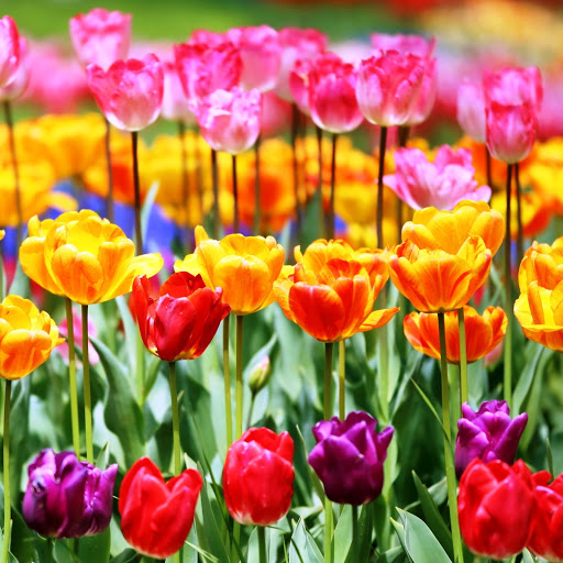 Hd-147425-ascw147425