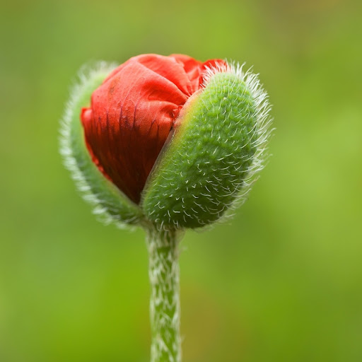 Hd-157823-ascw157823