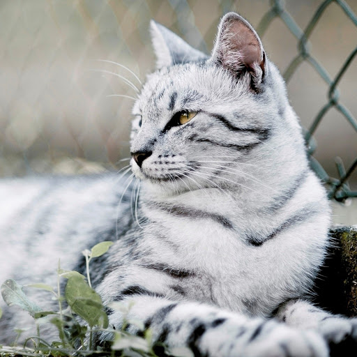 Hd-183377-ascw183377