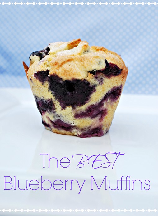 best blue berry muffin recipe