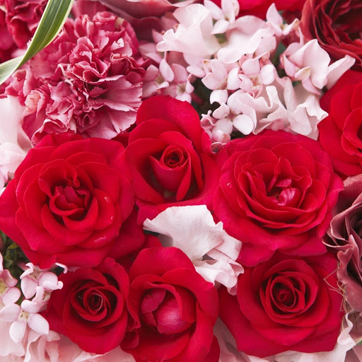 Hd-177328-ascw177328