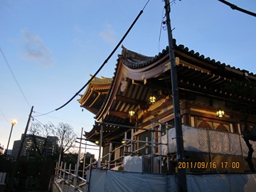 20111916日本上野公園-009
