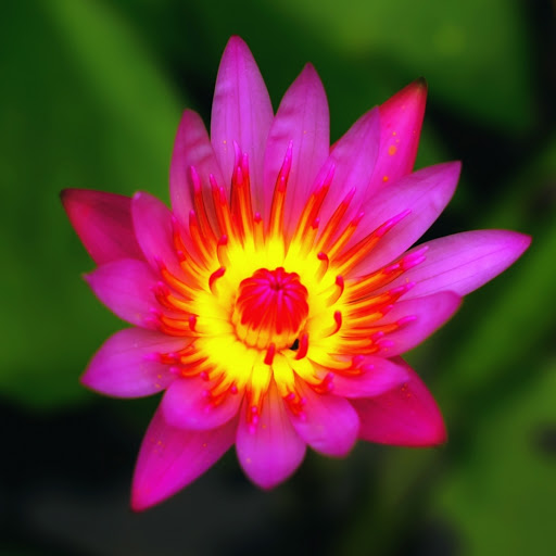 Hd-162568-ascw162568