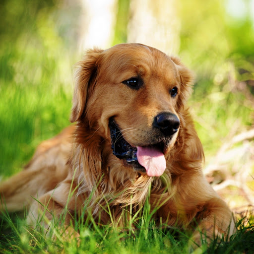 Hd-161807-ascw161807