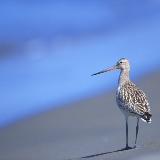 Hd-162465-ascw162465