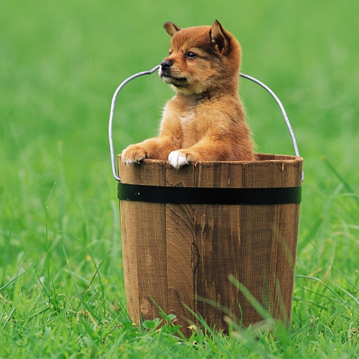 Hd-139275-ascw139275