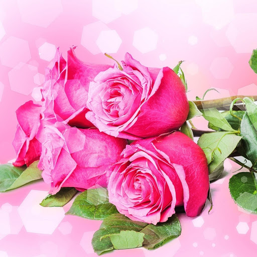 Hd-185795-ascw185795