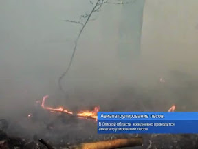 Авиапатрулирование лесов