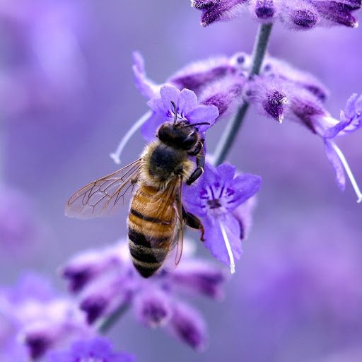 Hd-180134-ascw180134