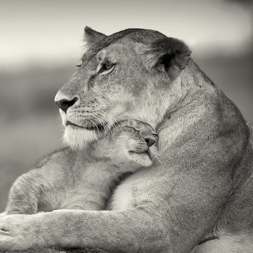 Hd-180324-ascw180324