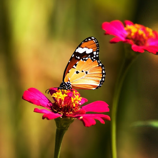 Hd-180115-ascw180115