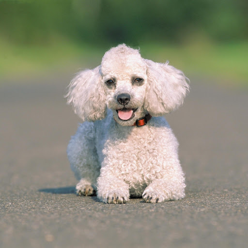 Hd-131864-ascw131864