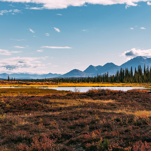 Hd-161211-ascw161211